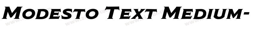 Modesto Text Medium字体转换